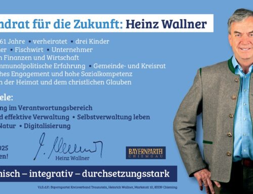 wer ist eigentlich dieser Heinz Wallner